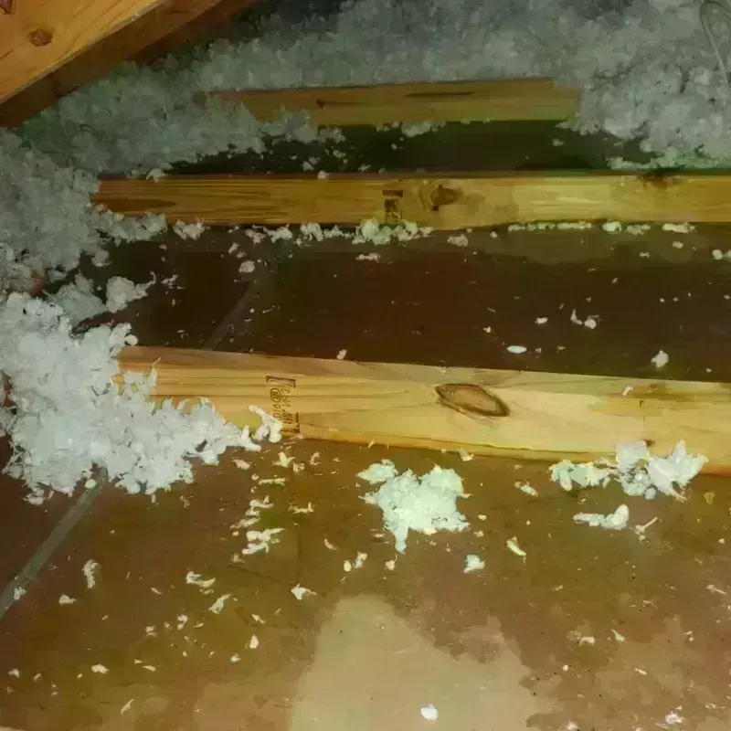 Attic Water Damage in San Antonio, PR