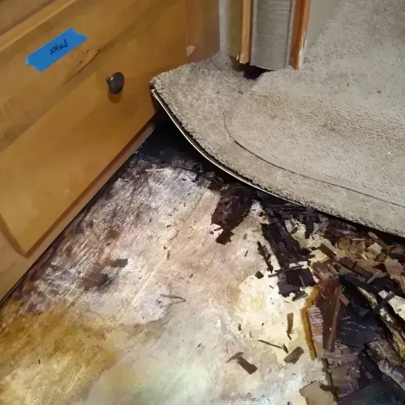 Best Wood Floor Water Damage Service in San Antonio, PR